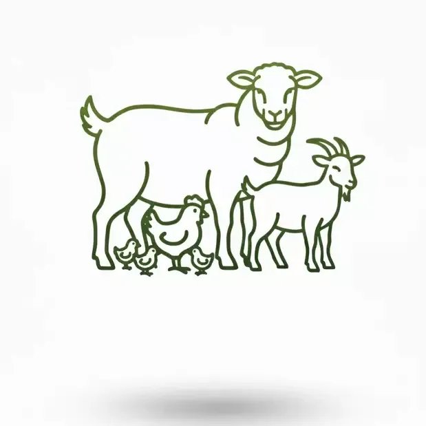 Treated animals cover image